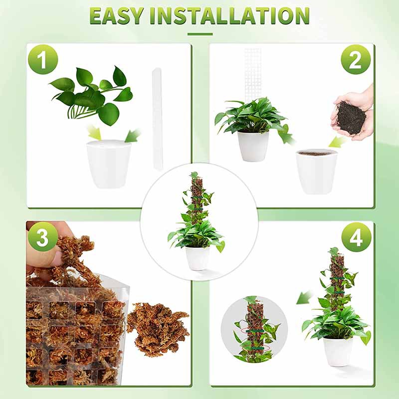 24/36/48Inch Climbing Plant Wa - Sphagnum Moss Dry review and price