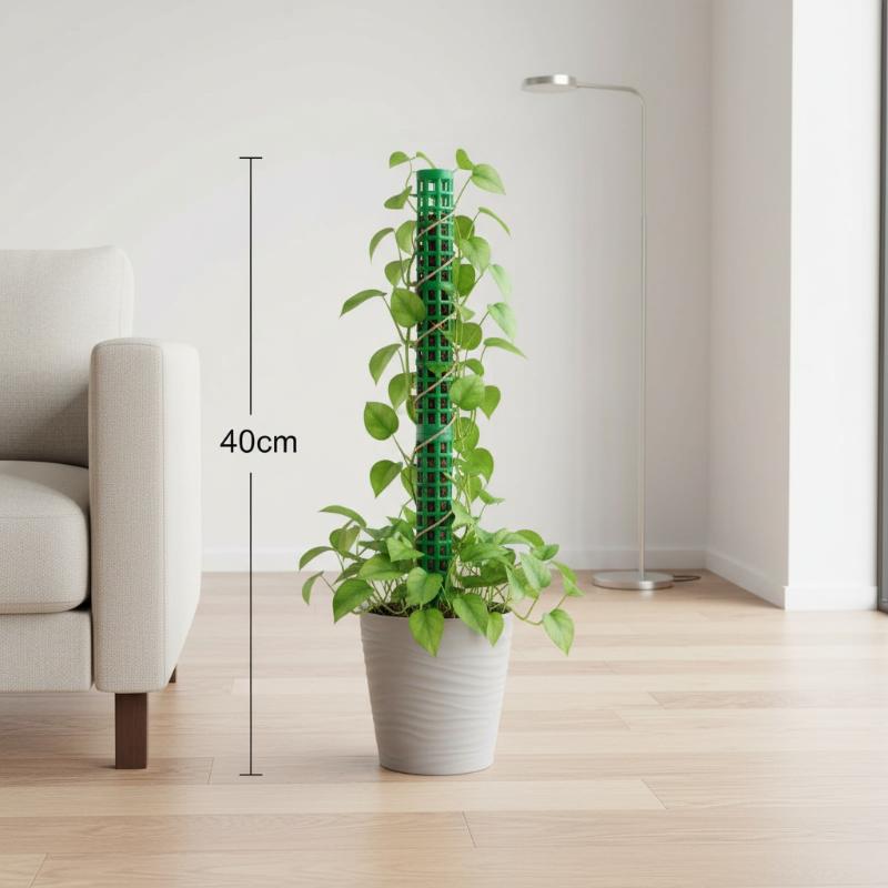 Plant Climbing Frame Extendabl - Sphagnum Moss Dry review and price
