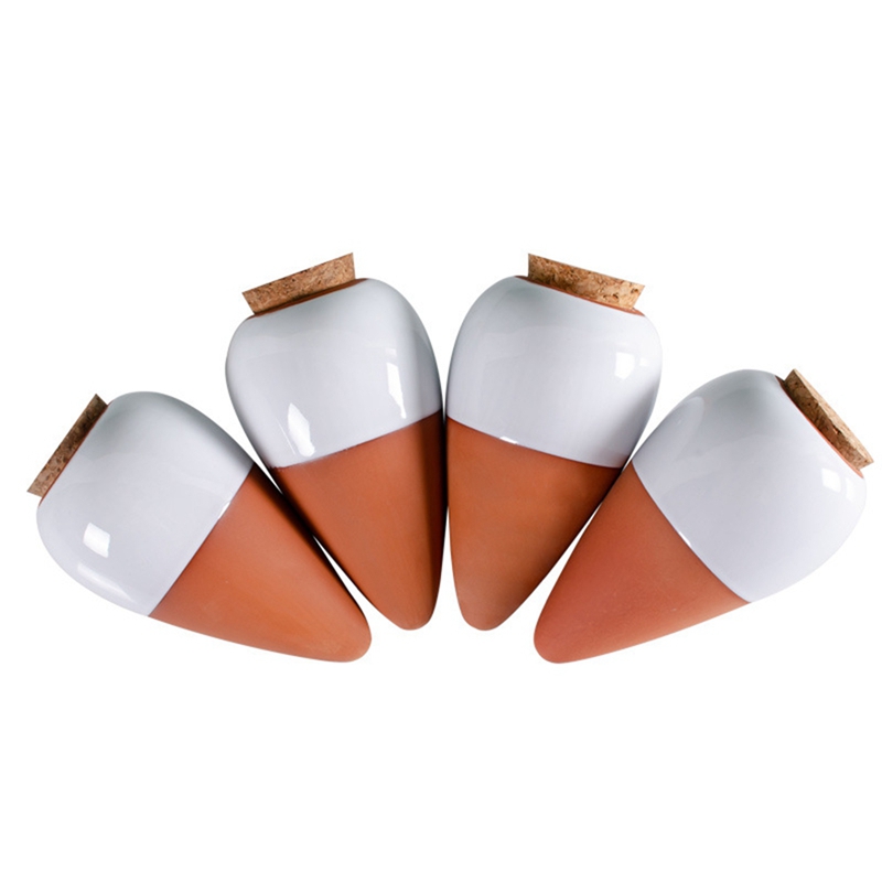 Plant Watering Ball, Terracott - Self Watering Insert review and price